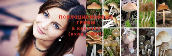 первитин Вязьма